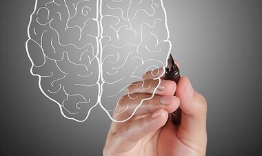 မှတ်ဉာဏ်ဆုံးရှုံးမှု၏အကြောင်းရင်းများ